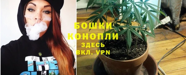 крисы Балабаново