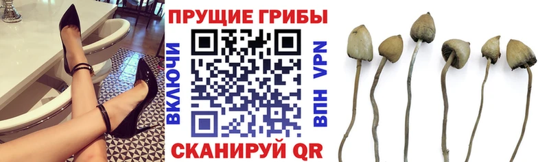 MEGA вход  мориарти наркотические препараты  Галлюциногенные грибы Psilocybe  Унеча 