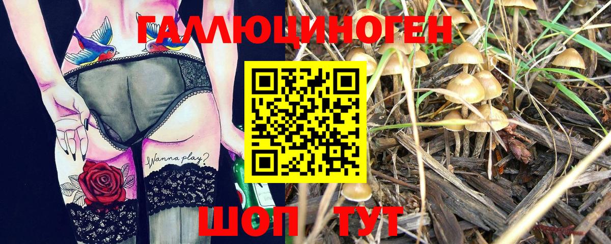 где продают   Вход с VPN  Унеча  Галлюциногенные грибы Psilocybe 